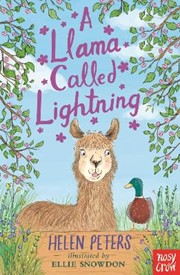 A Llama Called Lightning