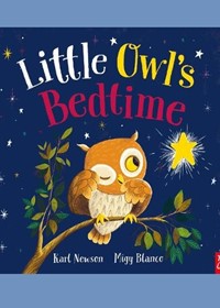 Little Owl's Bedtime (paperback)