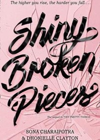 Shiny Broken Pieces