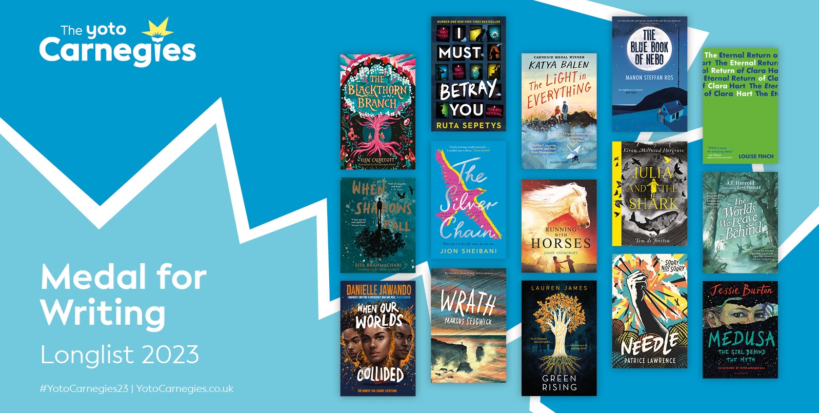 Longlists Announced For Carnegie Medals 2023 - ReadingZone