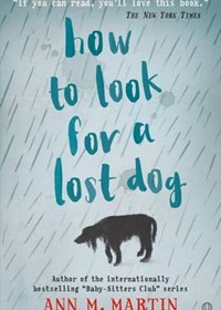How to Look for a Lost Dog